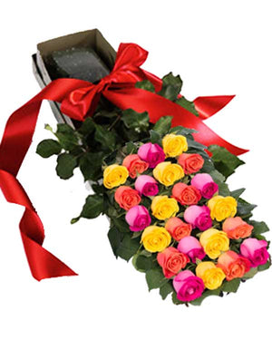 TWO DOZEN ROSES IN THE BOX (Variety of colors available) - Flower Story