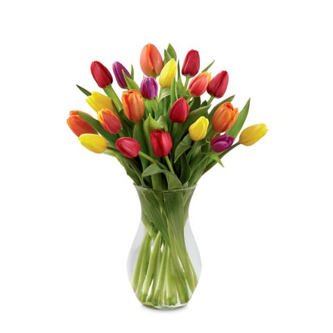 The Bright Spring Bouquet (20 fresh cut tulips) - Flower Story