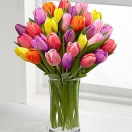 A vibrant bouquet of fresh tulips in a glass vase, perfect for birthdays and celebrations.