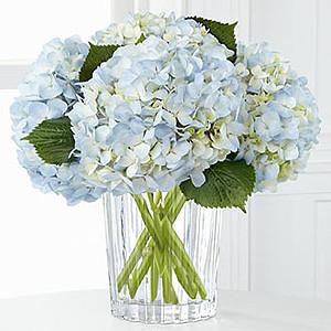 The Joyful Inspirations Bouquet with light blue hydrangea arranged in a modern clear glass vase — elegant floral gift for any occasion