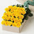 Two Dozen Boxed Yellow Roses (Multiple Colors Available) - Flower Story