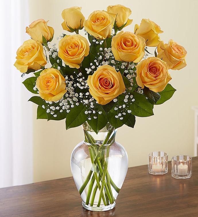 One Dozen Roses In Vase With Baby's Breath - Flower Story