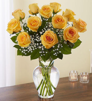 Valentine One Dozen Roses In Vase With Baby's Breath - Flower Story